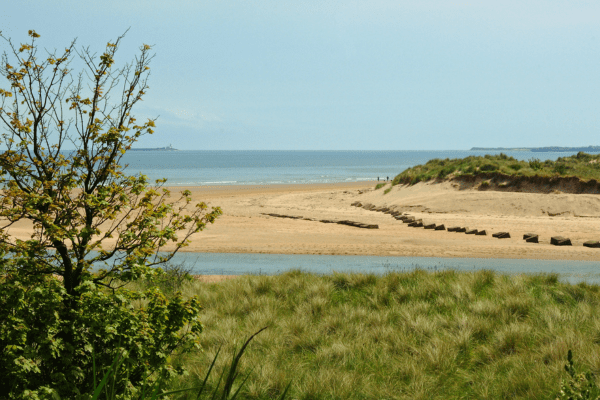 Alnmouth in Northumberland: Beaches, History & Scenic Walks